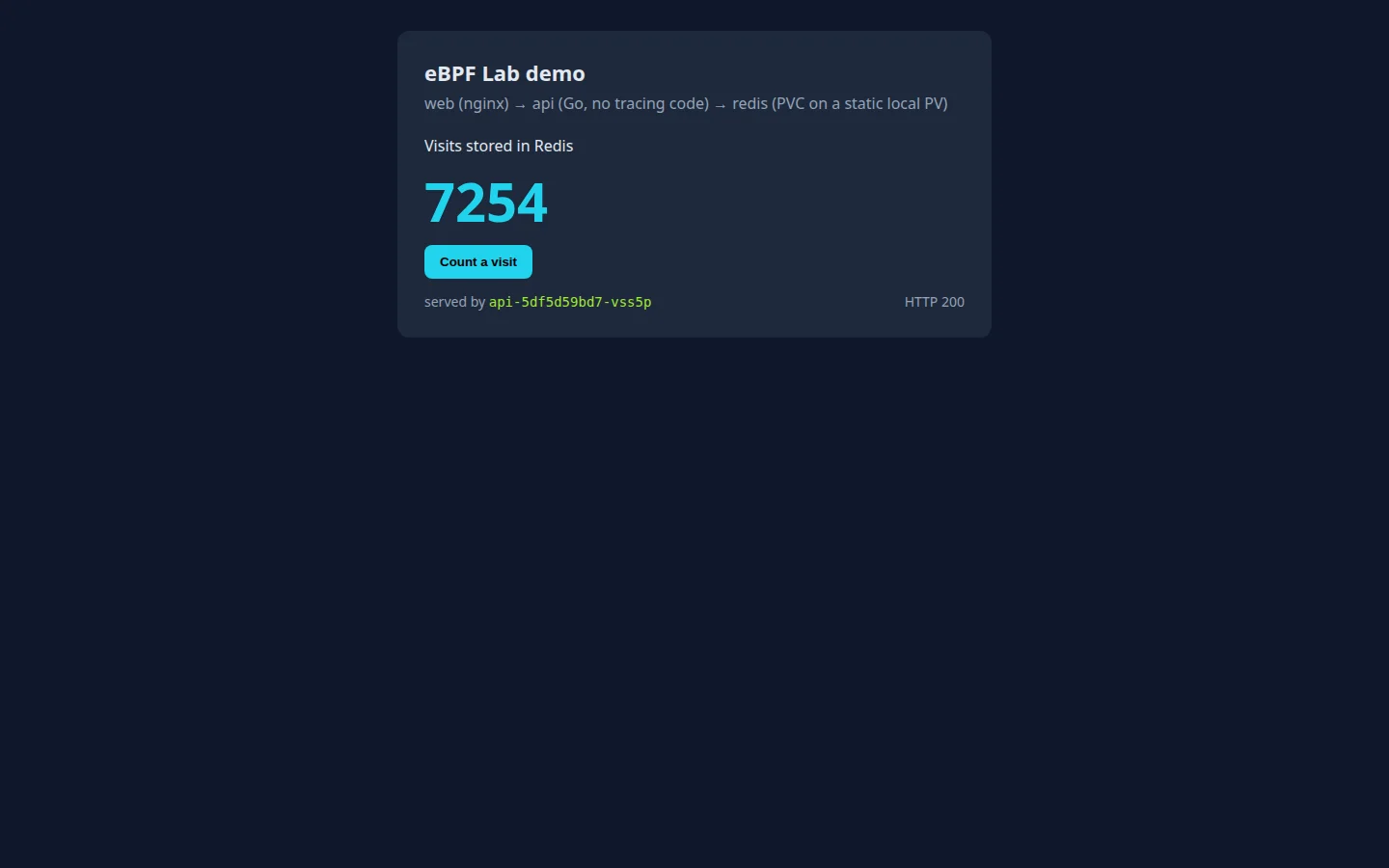 Demo app page showing the visit counter before the rebuild